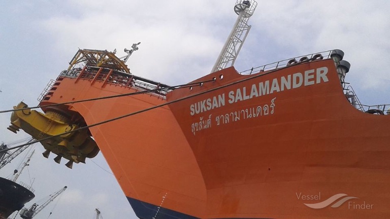 SUKSAN SALAMANDER photo