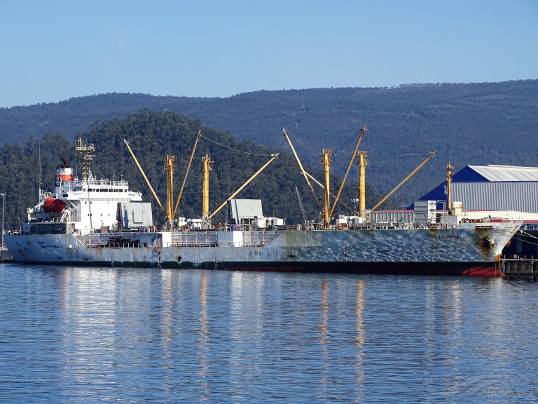 CASSIOPEA, Refrigerated Cargo Ship Details and current position IMO