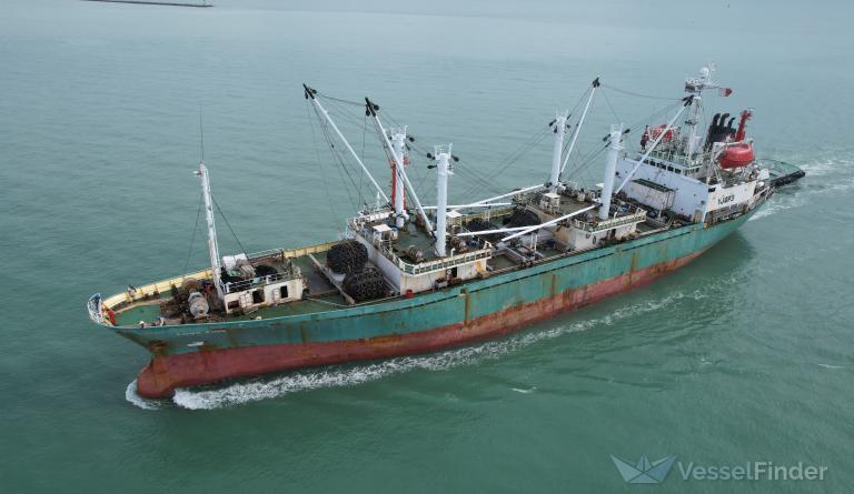 LUNG YUIN photo