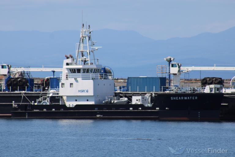 SHEARWATER photo