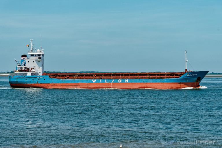 WILSON GIJON