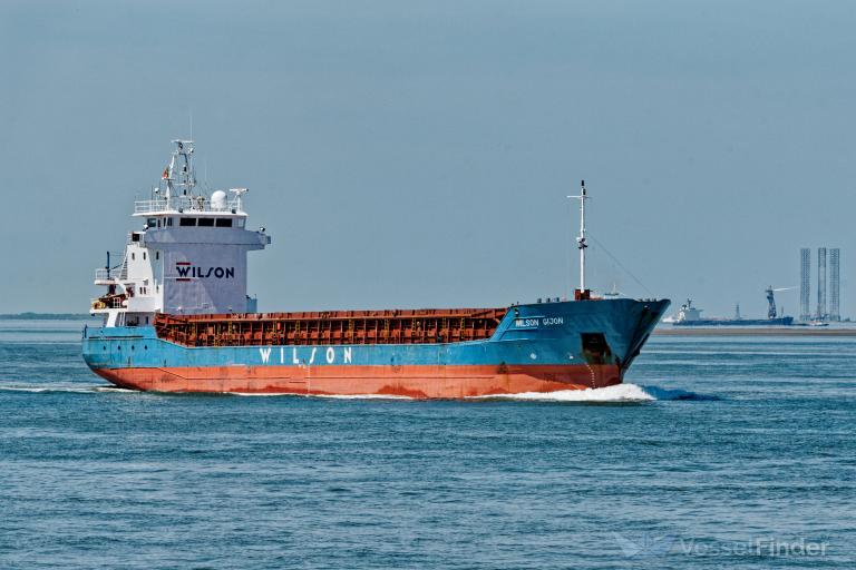 WILSON GIJON