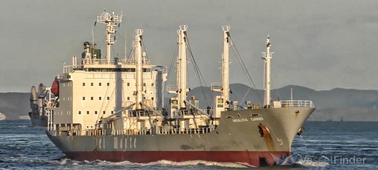 SEA WEALTH photo