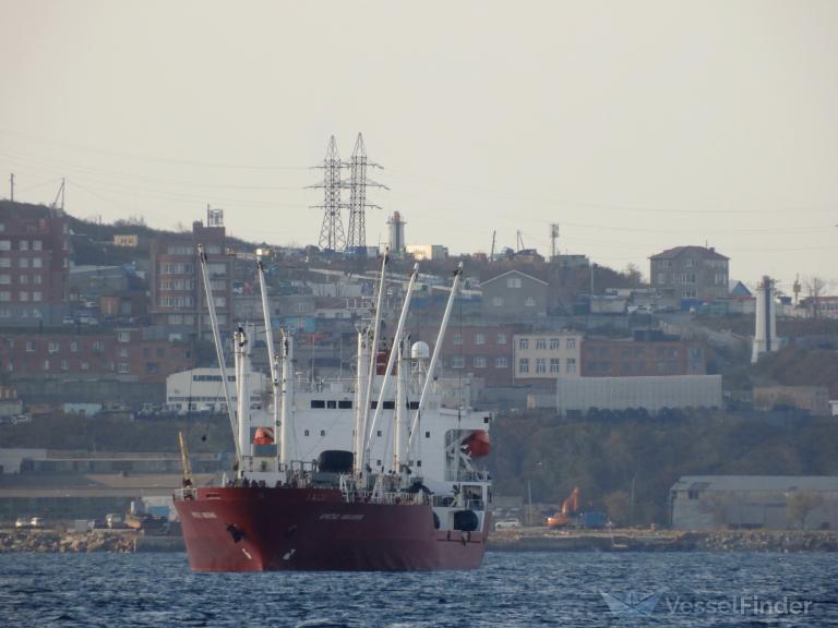 CRYSTAL AMAZONIA photo