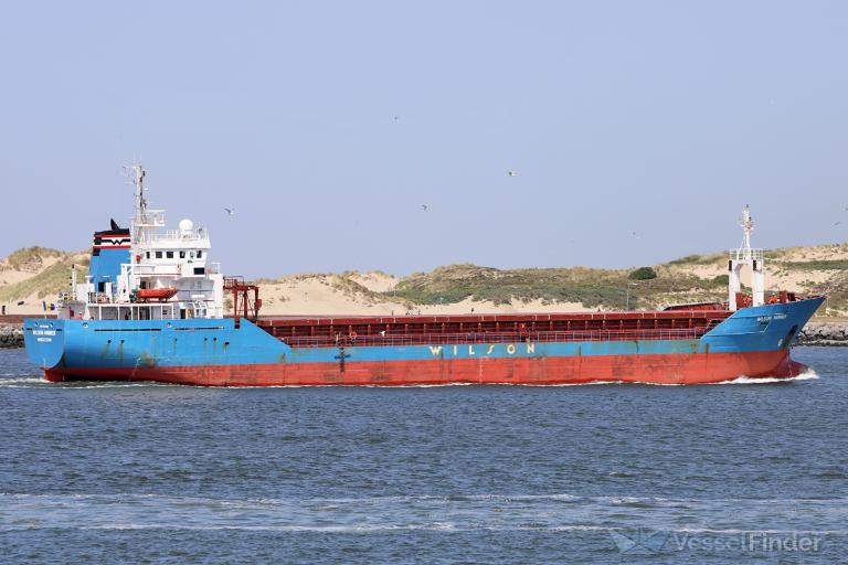 WILSON HARRIER photo