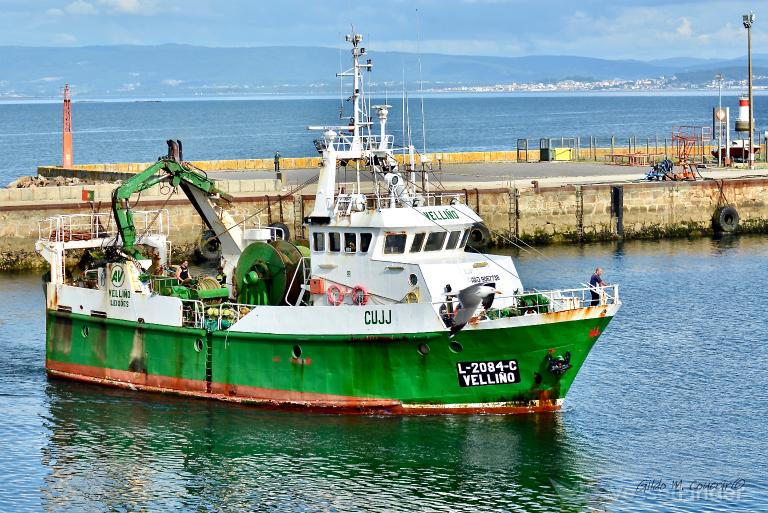 FV VELLINO photo