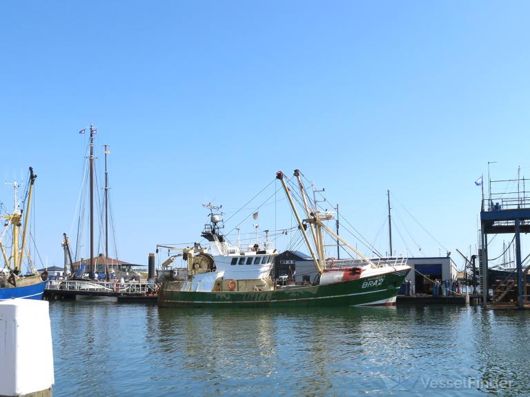 BUTENDIEK photo