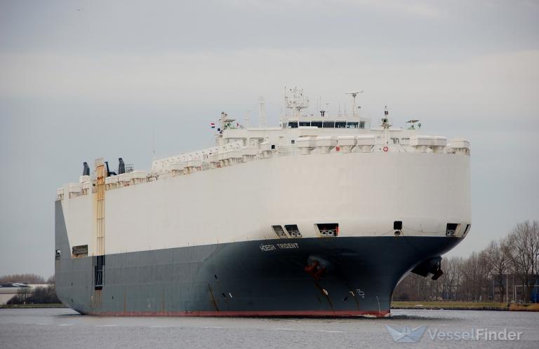 HOEGH TRIDENT photo