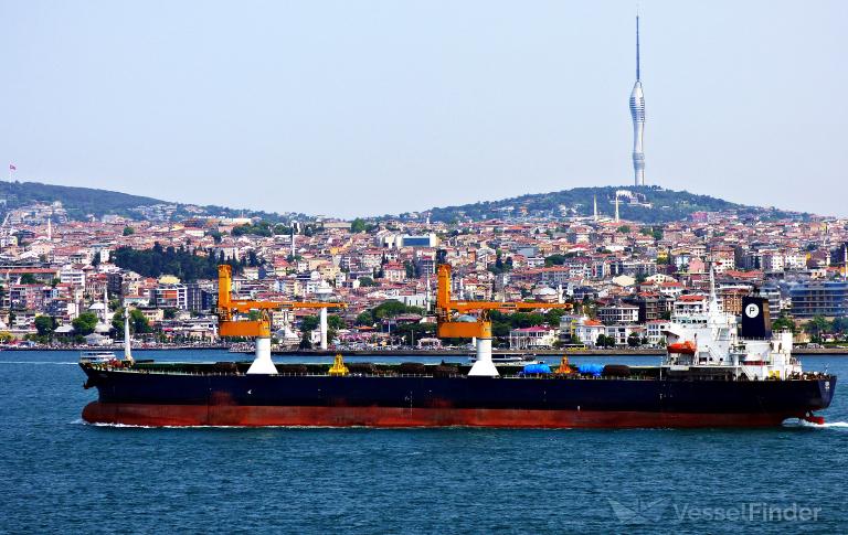RODA photo
