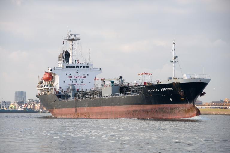 THERESA BEGONIA photo