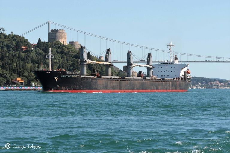 Sea Smile Bulk Carrier Details And Current Position Imo Mmsi Vesselfinder