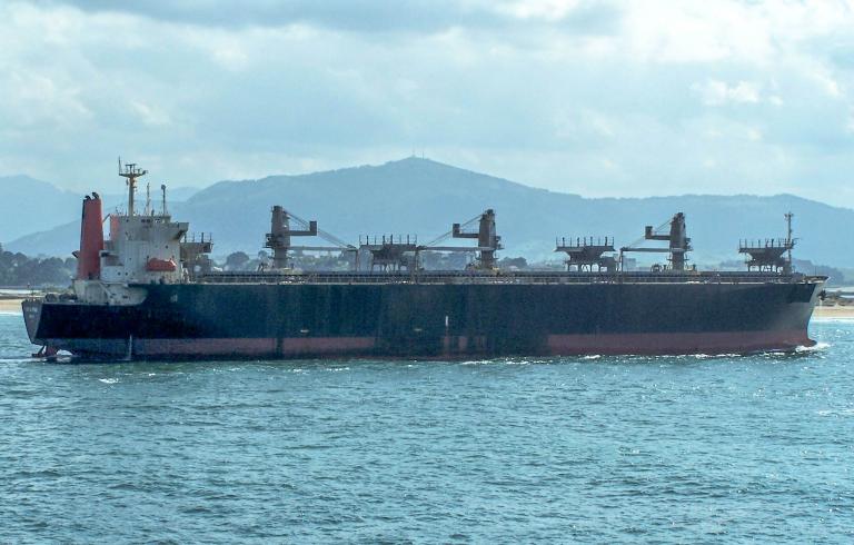 NEW OJI PIONEER photo