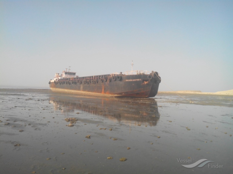 ORCHID UNITED 1 photo