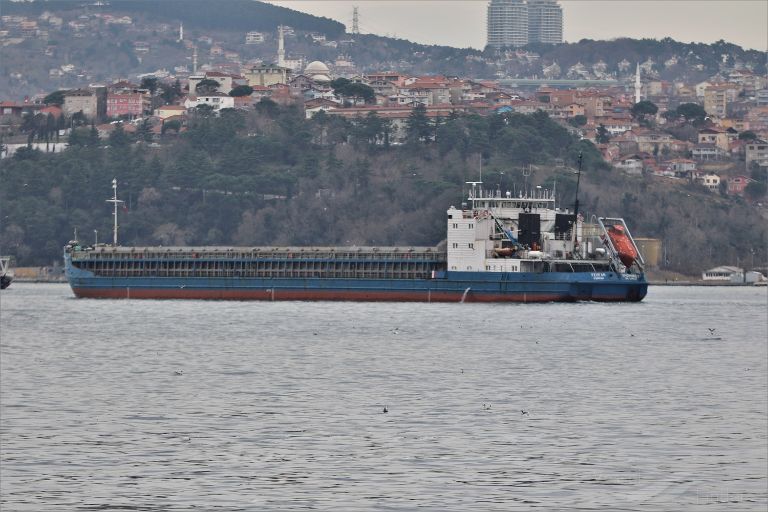 FEOFAN SHOKHIREV photo