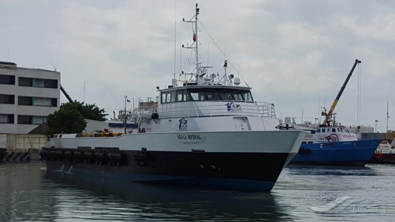 AGUILA IMPERIAL photo