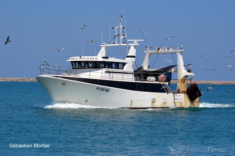 LOISEAU DES ILES II photo