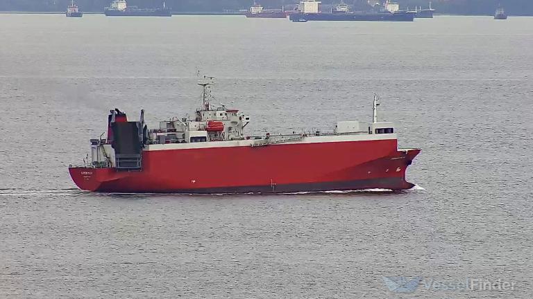 MV HARMONI MAS 8 photo