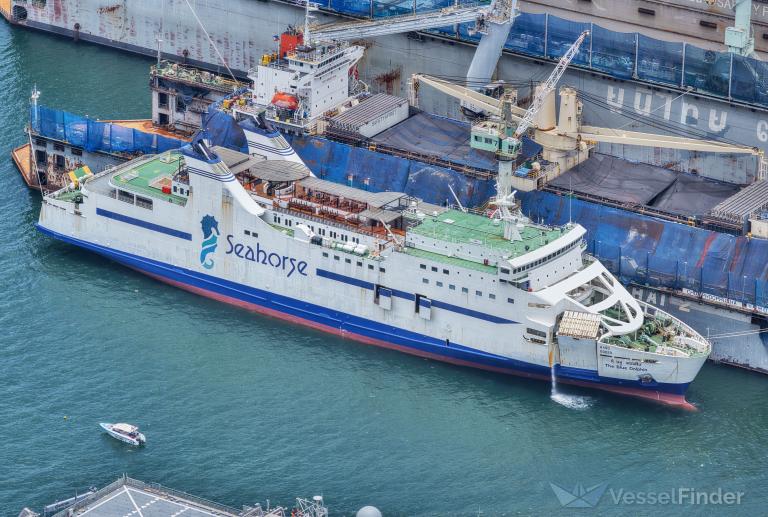 THE BLUE DOLPHIN photo