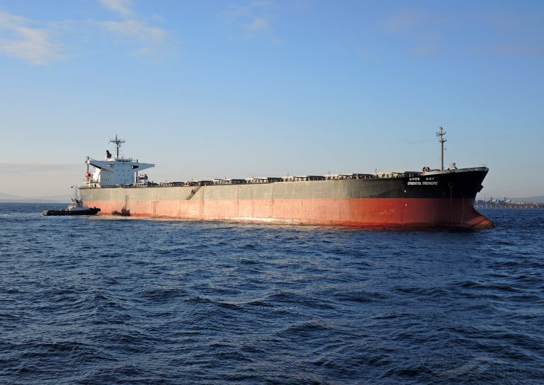 RIENTAL TREASURE photo