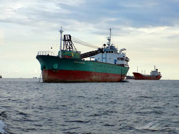 PERMATA NUSANTARA I photo