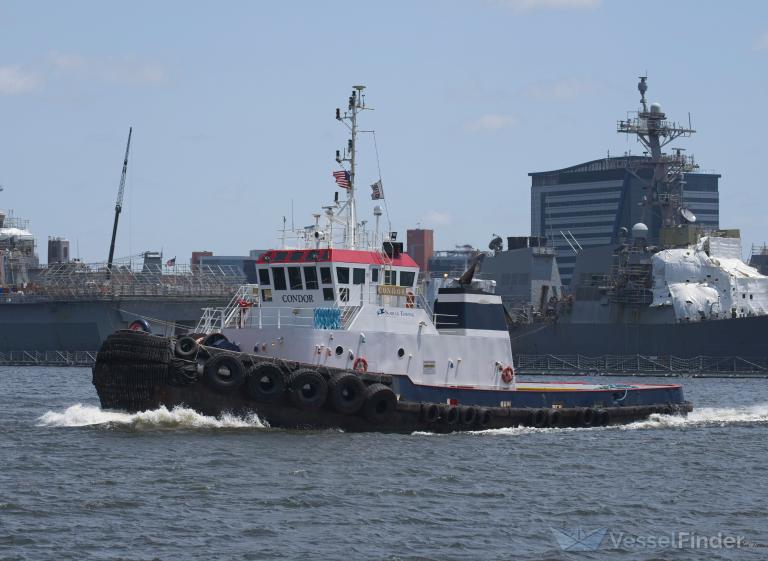 SUZANNE MCALLISTER photo