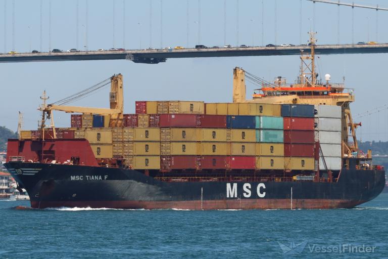 MSC TIANA F photo