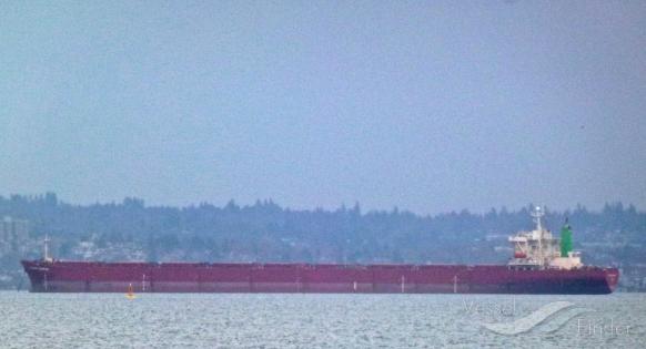chokang-sunrise-bulk-carrier-details-and-current-position-imo