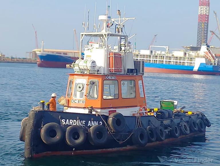SARDINE ANN 2 photo