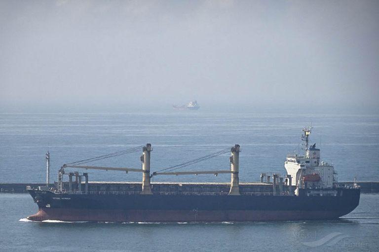 ARMU Ro-Ro Cargo Ship -      - IMO 9114529 -  VesselFinder