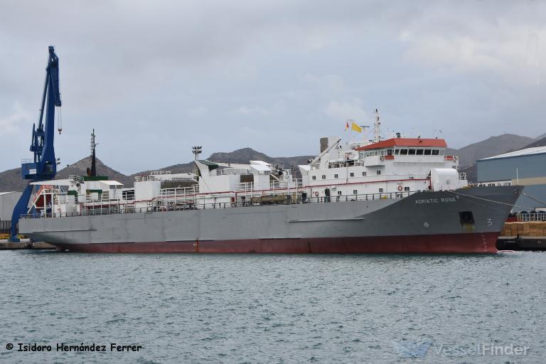 MVADRIATIC ROSE photo