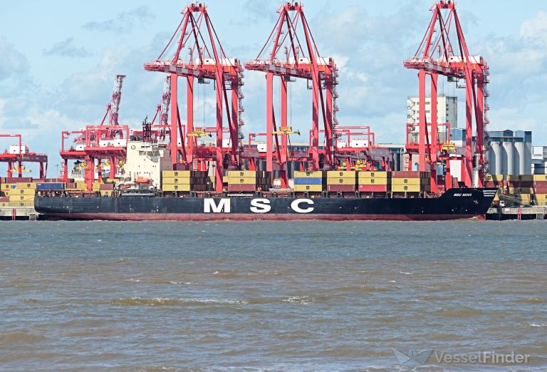 MSC SENA