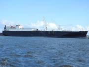 MV-SISLER