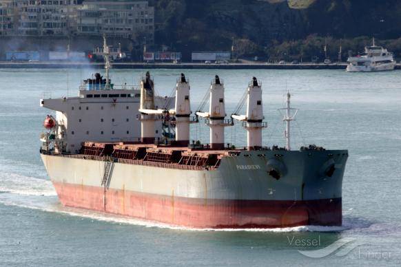 WANTONG SUMMER photo