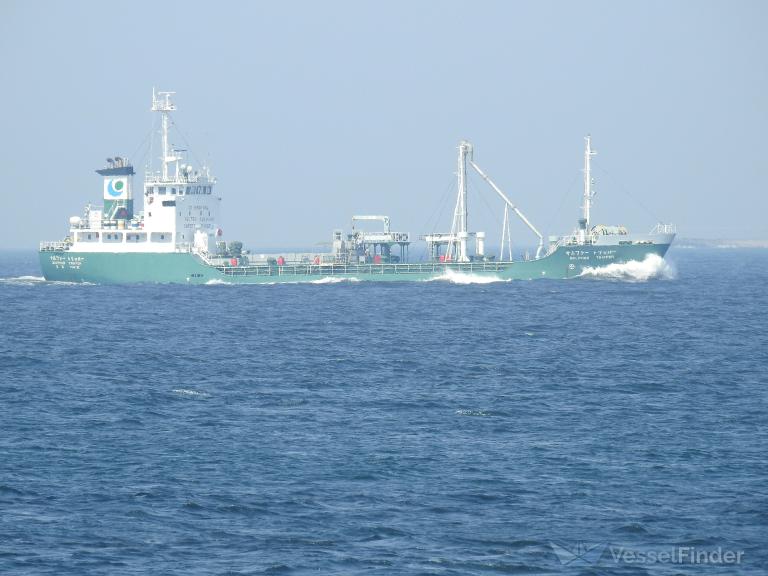 SULPHUR TRIPPER photo