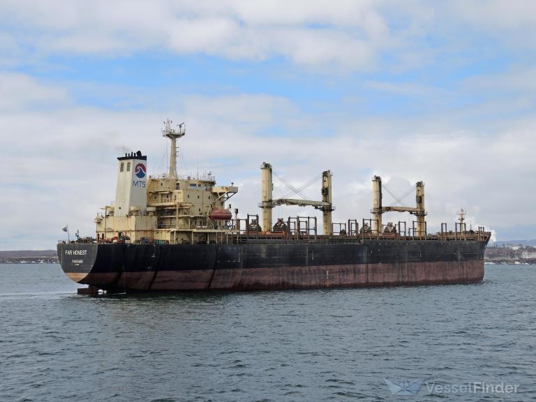 OCEAN ROSEMARY photo