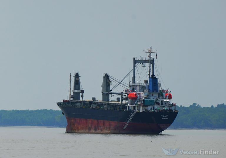 NEPTUNE STARLIGHT photo