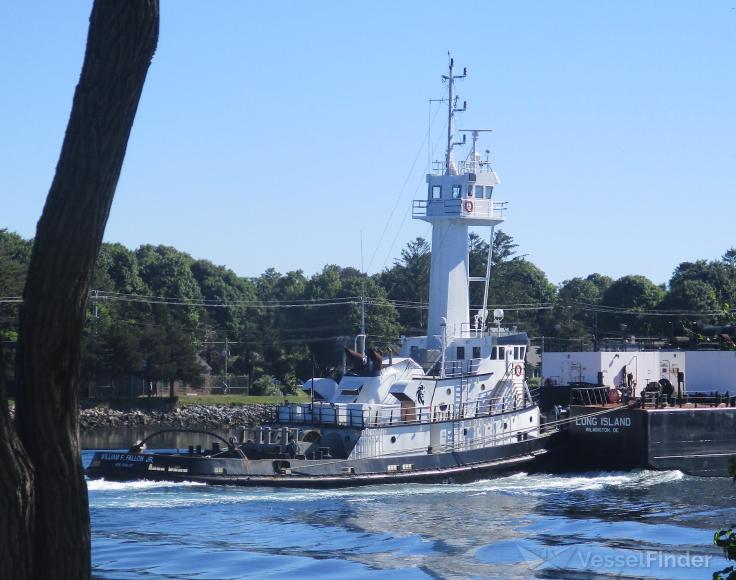 WILLIAM F FALLON JR photo