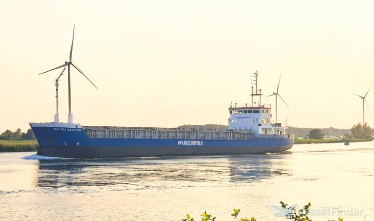 BALTIC SKIPPER