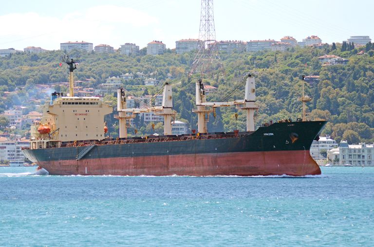 AMAZON, Bulk Carrier Details and current position IMO 9138616 MMSI