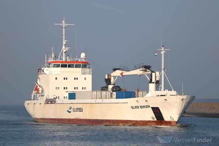 SILVER BERGEN photo