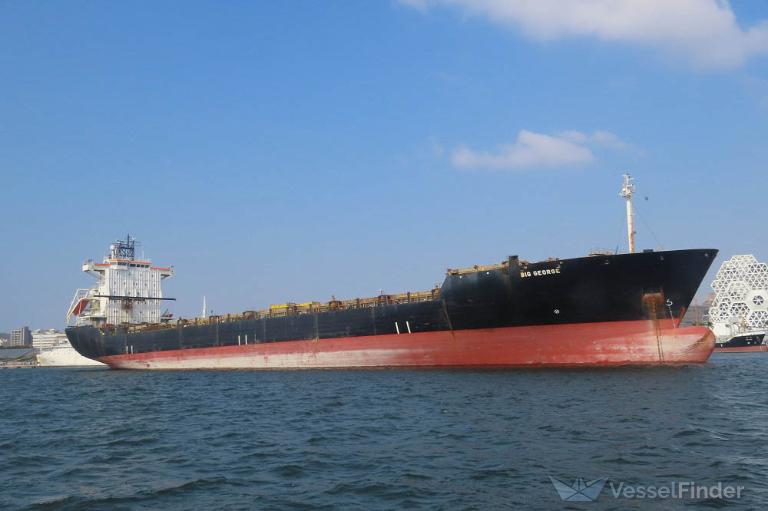 BIG GEORGE, Container Ship - Details and current position - IMO 9142942 ...