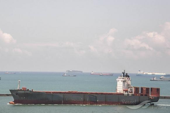 HAMMONIA IONIUM photo