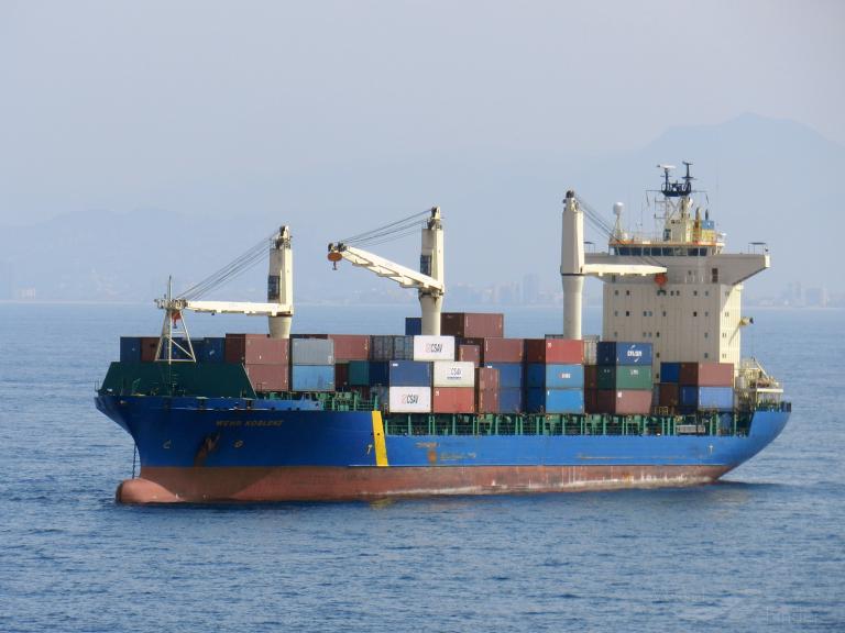 MSC RIONA, Container Ship - Details and current position - IMO 9144134 ...