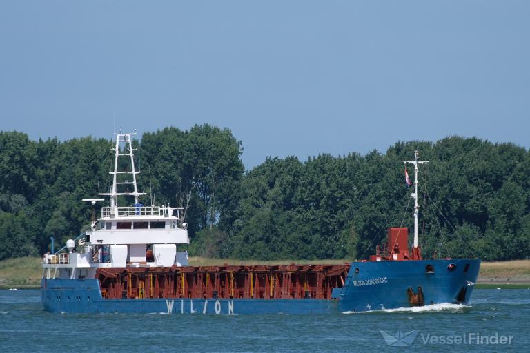 WILSON DORDRECHT photo