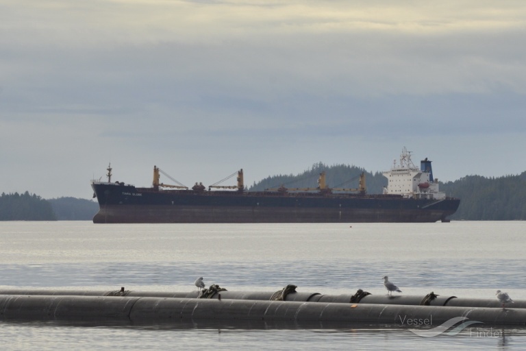 OCEAN WINNER photo