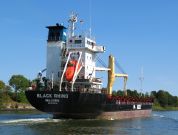 MINT ARROW - IMO 9127863 -  - Ship Photos, Information,  Videos and Ship Tracker