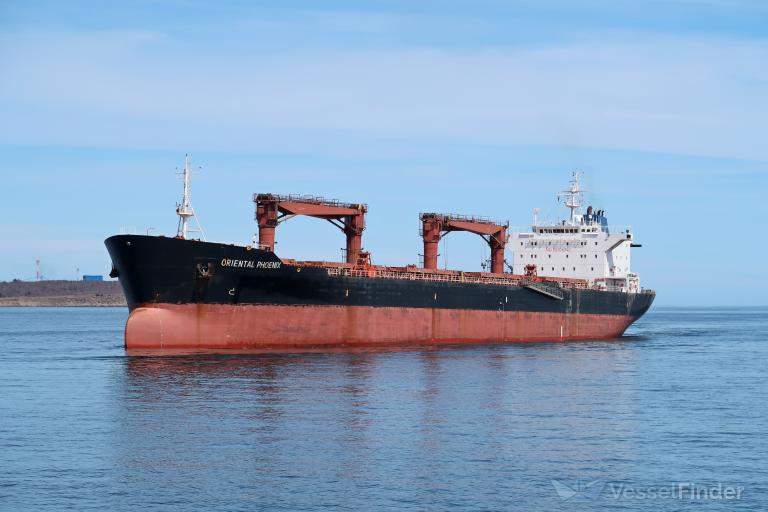 ORIENTAL PHOENIX photo