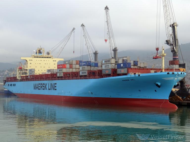 MSC GIOVANNA VII photo