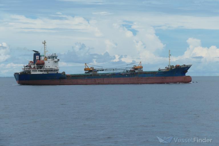 BUNGA MELATI 51 photo