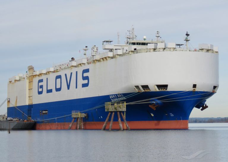 GLOVIS CHORUS photo